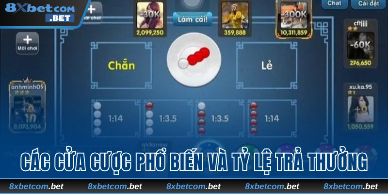 Các cửa cược phổ biến và tỷ lệ trả thưởng trong Xóc đĩa online