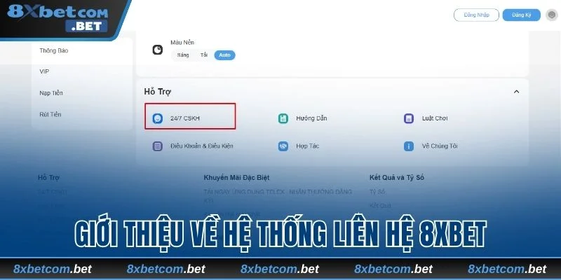 Liên hệ 8xbet giúp hội viên nhận hỗ trợ nhanh chóng