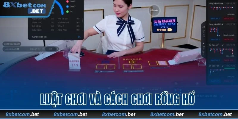 Luật chơi và cách chơi Rồng Hổ