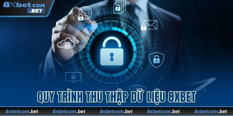 Nhà cái thiết lập quy trình thu thập rõ ràng